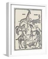 Monsters of Asia-Erhard Renwieh-Framed Art Print