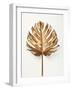 Monstrea Gold Leaf-Design Fabrikken-Framed Photographic Print