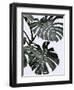 Monstrea-PhotoINC Studio-Framed Art Print