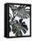Monstrea-PhotoINC Studio-Framed Stretched Canvas