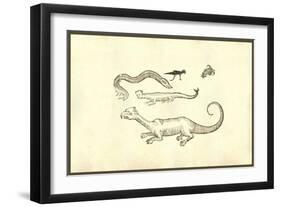 Monstrorum Historia-Ulisse Aldrovandi-Framed Art Print