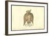 Monstrosi Piscis Volantis-Ulisse Aldrovandi-Framed Art Print