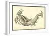 Monstrosus Marinus Daemoniforme-Ulisse Aldrovandi-Framed Art Print