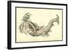 Monstrosus Marinus Daemoniforme-Ulisse Aldrovandi-Framed Art Print