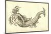 Monstrosus Marinus Daemoniforme-Ulisse Aldrovandi-Mounted Art Print