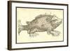 Monstrosus Susmarinos-Ulisse Aldrovandi-Framed Art Print