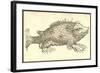 Monstrosus Susmarinos-Ulisse Aldrovandi-Framed Art Print