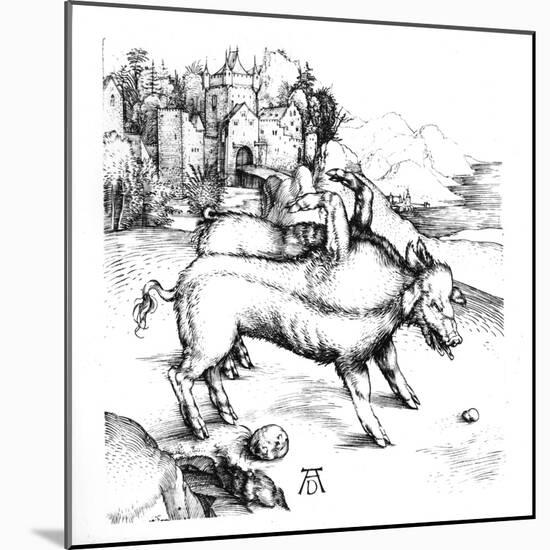 Monstrous Pig-Albrecht Dürer-Mounted Giclee Print