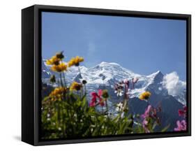 Mont Blanc, Chamonix, Haute Savoie, French Alps, France, Europe-Angelo Cavalli-Framed Stretched Canvas