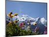 Mont Blanc, Chamonix, Haute Savoie, French Alps, France, Europe-Angelo Cavalli-Mounted Photographic Print