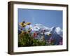 Mont Blanc, Chamonix, Haute Savoie, French Alps, France, Europe-Angelo Cavalli-Framed Photographic Print