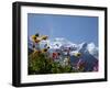 Mont Blanc, Chamonix, Haute Savoie, French Alps, France, Europe-Angelo Cavalli-Framed Photographic Print