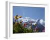 Mont Blanc, Chamonix, Haute Savoie, French Alps, France, Europe-Angelo Cavalli-Framed Photographic Print