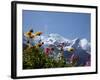 Mont Blanc, Chamonix, Haute Savoie, French Alps, France, Europe-Angelo Cavalli-Framed Photographic Print
