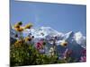 Mont Blanc, Chamonix, Haute Savoie, French Alps, France, Europe-Angelo Cavalli-Mounted Photographic Print