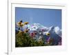 Mont Blanc, Chamonix, Haute Savoie, French Alps, France, Europe-Angelo Cavalli-Framed Photographic Print