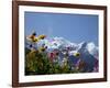 Mont Blanc, Chamonix, Haute Savoie, French Alps, France, Europe-Angelo Cavalli-Framed Photographic Print