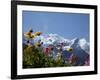 Mont Blanc, Chamonix, Haute Savoie, French Alps, France, Europe-Angelo Cavalli-Framed Photographic Print