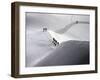 Mont Blanc, France-null-Framed Premium Photographic Print