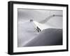 Mont Blanc, France-null-Framed Premium Photographic Print