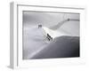 Mont Blanc, France-null-Framed Premium Photographic Print