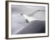 Mont Blanc, France-null-Framed Photographic Print