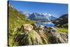 Mont Blanc Range Seen from Lac Des Cheserys, Aiguille Vert, Haute Savoie, French Alps, France-Roberto Moiola-Stretched Canvas