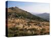 Mont Lozere, Near Finiels, Cevennes National Park, Lozere, Languedoc-Roussillon, France-David Hughes-Stretched Canvas