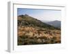 Mont Lozere, Near Finiels, Cevennes National Park, Lozere, Languedoc-Roussillon, France-David Hughes-Framed Photographic Print