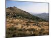 Mont Lozere, Near Finiels, Cevennes National Park, Lozere, Languedoc-Roussillon, France-David Hughes-Mounted Photographic Print