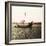 Mont-Saint-Michel (Manche), Fishing on the Shore-Leon, Levy et Fils-Framed Photographic Print