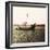 Mont-Saint-Michel (Manche), Fishing on the Shore-Leon, Levy et Fils-Framed Photographic Print