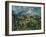 Mont Saint-Victoire, 1904-05-Paul Cézanne-Framed Giclee Print