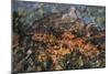 Mont Sainte Victoire, 1904-Paul Cézanne-Mounted Giclee Print