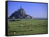 Mont St Michel, Manche, Normandy, France-Walter Bibikow-Framed Stretched Canvas