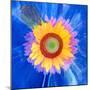 Montage of a Sunflower and Dahlia-Alaya Gadeh-Mounted Photographic Print