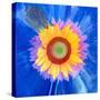 Montage of a Sunflower and Dahlia-Alaya Gadeh-Stretched Canvas