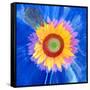 Montage of a Sunflower and Dahlia-Alaya Gadeh-Framed Stretched Canvas