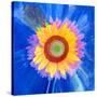 Montage of a Sunflower and Dahlia-Alaya Gadeh-Stretched Canvas