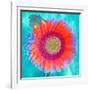 Montage of a Sunflower and Dahlia-Alaya Gadeh-Framed Photographic Print