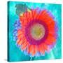 Montage of a Sunflower and Dahlia-Alaya Gadeh-Stretched Canvas