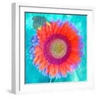 Montage of a Sunflower and Dahlia-Alaya Gadeh-Framed Photographic Print