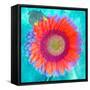 Montage of a Sunflower and Dahlia-Alaya Gadeh-Framed Stretched Canvas