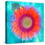 Montage of a Sunflower and Dahlia-Alaya Gadeh-Stretched Canvas