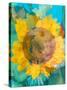 Montage of a Sunflower, Composing-Alaya Gadeh-Stretched Canvas