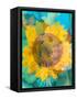 Montage of a Sunflower, Composing-Alaya Gadeh-Framed Stretched Canvas