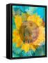 Montage of a Sunflower, Composing-Alaya Gadeh-Framed Stretched Canvas