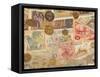 Montage of Coins and Paper Money-Steve Satushek-Framed Stretched Canvas