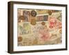 Montage of Coins and Paper Money-Steve Satushek-Framed Photographic Print