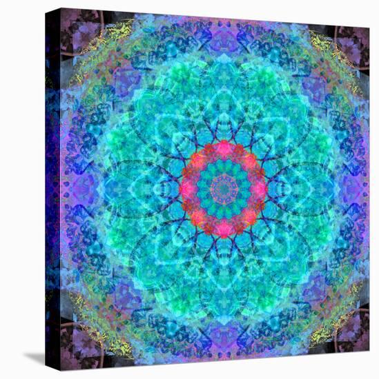 Montage of Flower Photographies in a Symmetrical Ornament, Mandala-Alaya Gadeh-Stretched Canvas